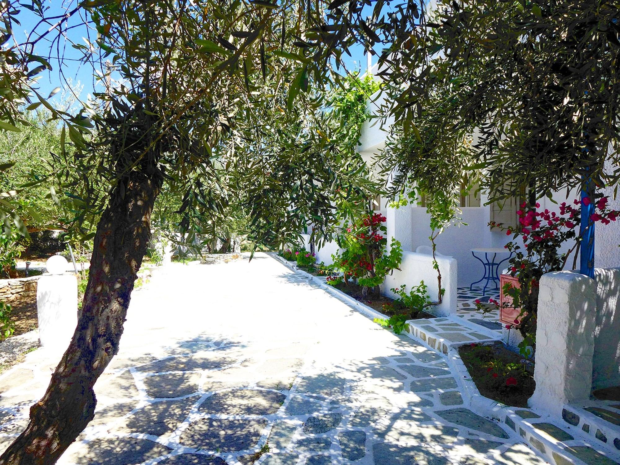 Amaryllis Beach Hotel Chrisi Akti  Extérieur photo